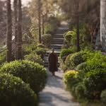 慈山寺 Tsz Shan Monastery 