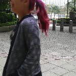 fun chu 朱薰 